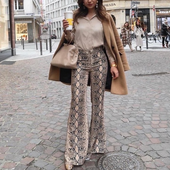 zara snake pants